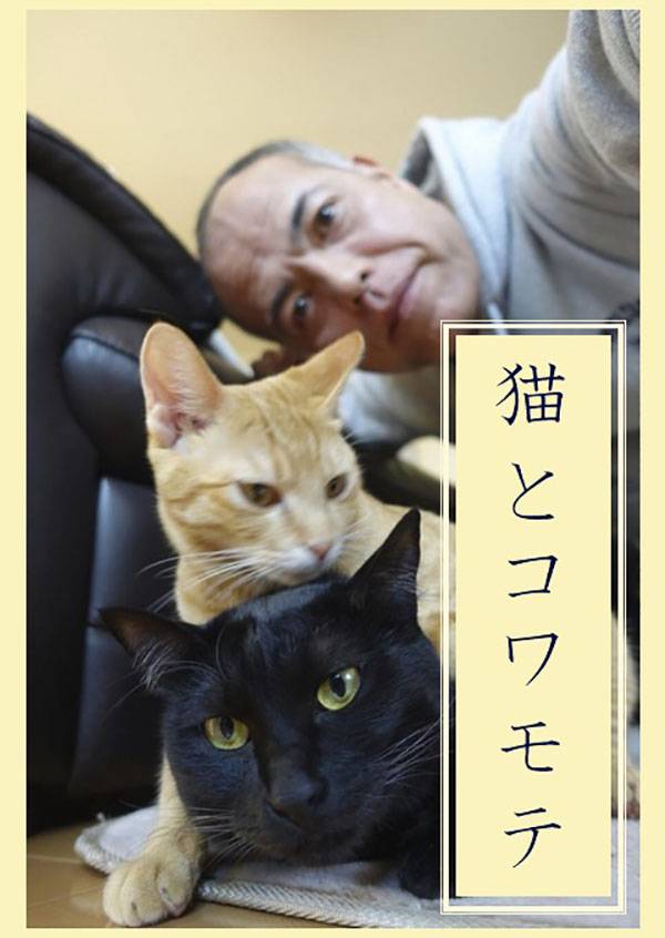 猫和凶相大叔 第一季