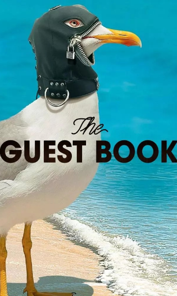 来宾留言 第二季