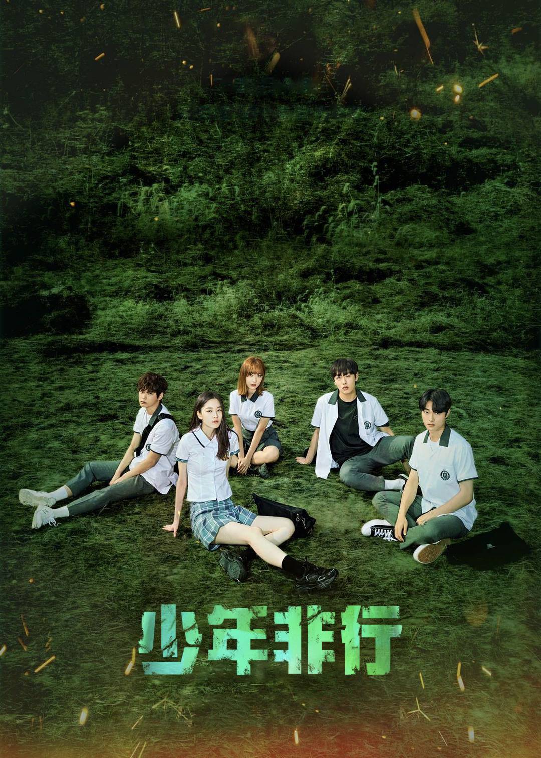 少年非行 第一季